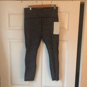 Train Times 7/8 Pant